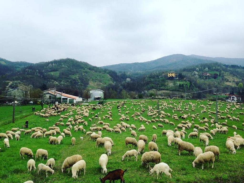 B&B Cascina Santa Gavi Kültér fotó