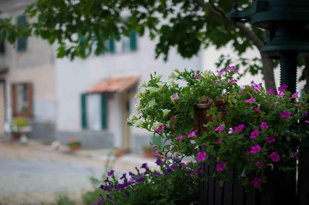 B&B Cascina Santa Gavi Kültér fotó