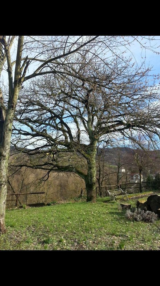 B&B Cascina Santa Gavi Kültér fotó