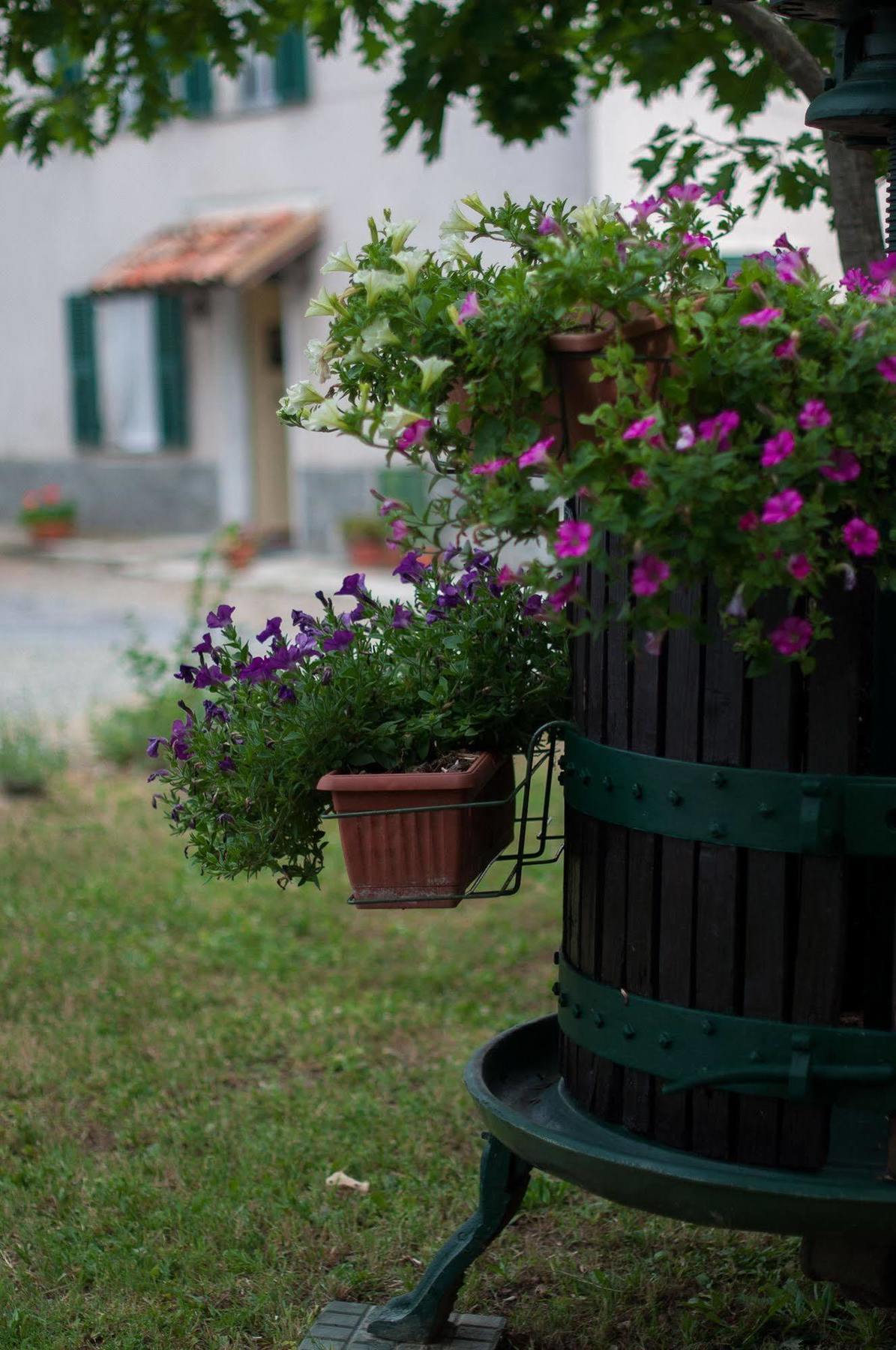 B&B Cascina Santa Gavi Kültér fotó